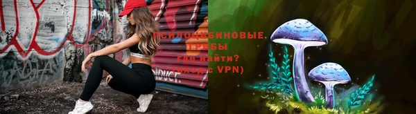 таблы Горняк