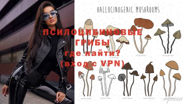 таблы Горняк
