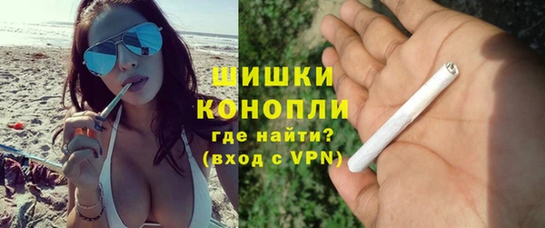 сатива Чегем