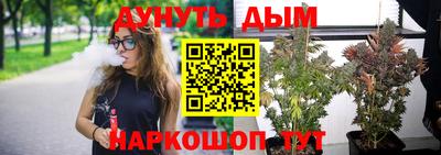 МДПВ Краснознаменск