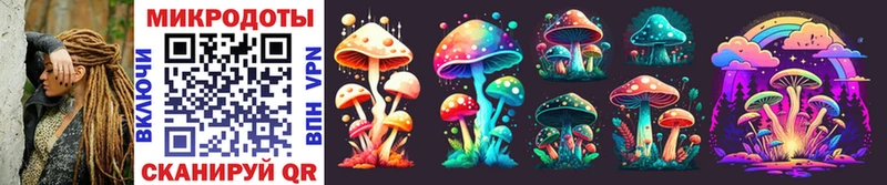 shop какой сайт  Назарово  Псилоцибиновые грибы Psilocybine cubensis 