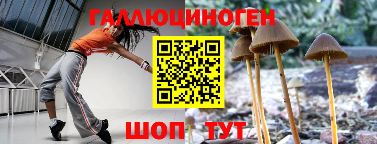 Псилоцибиновые грибы Magic Shrooms  Вход с VPN  Назарово 
