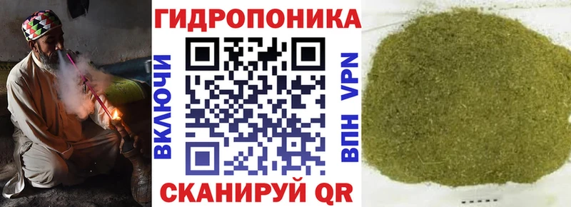 Бошки марихуана OG Kush  Назарово 